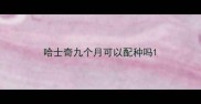 哈士奇九个月可以配种吗
