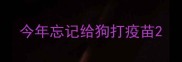 今年忘记给狗打疫苗