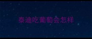 泰迪吃葡萄会怎样