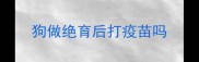 狗做绝育后打疫苗吗