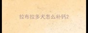 拉布拉多犬怎么补钙