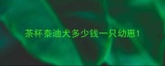 茶杯泰迪犬多少钱一只幼崽