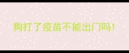 狗打了疫苗不能出门吗