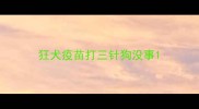 狂犬疫苗打三针狗没事
