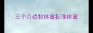 三个月边牧体重标准体重