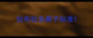 拉布拉多鼻子标准