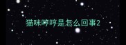 猫咪哼哼是怎么回事