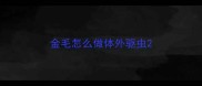 金毛怎么做体外驱虫