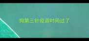 狗第三针疫苗时间过了