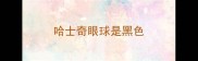 哈士奇眼球是黑色