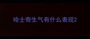 哈士奇生气有什么表现