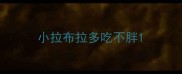 小拉布拉多吃不胖