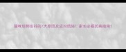 猫咪后脚发抖的7大原因及应对措施家长必看防病指南