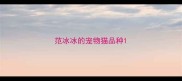 范冰冰的宠物猫品种