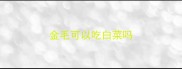 金毛可以吃白菜吗