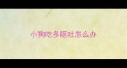 小狗吃多呕吐怎么办