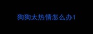 狗狗太热情怎么办