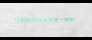 边牧和拉不拉多有了宝宝
