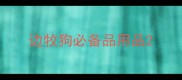 边牧狗必备品用品