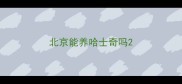 北京能养哈士奇吗