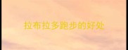 拉布拉多跑步的好处