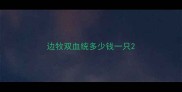 边牧双血统多少钱一只