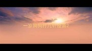 一岁狗狗打几针疫苗