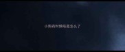 小狗有时候咳是怎么了