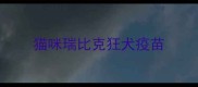 猫咪瑞比克狂犬疫苗