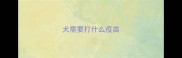 犬需要打什么疫苗