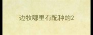 边牧哪里有配种的