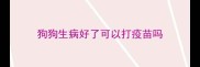 狗狗生病好了可以打疫苗吗