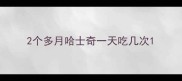 2个多月哈士奇一天吃几次