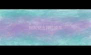 狗狗驱虫和打疫苗