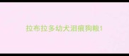 拉布拉多幼犬泪痕狗粮