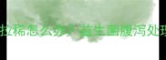 猫咪吃了益生菌后拉稀怎么办益生菌腹泻处理指南及预防措施