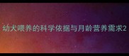 幼犬喂养的科学依据与月龄营养需求