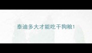 泰迪多大才能吃干狗粮