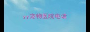 yy宠物医院电话