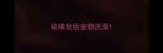 硫磺皂给宠物洗澡