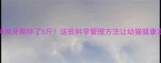 猫咪换牙期胖了5斤这些科学管理方法让幼猫健康发育