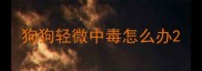 狗狗轻微中毒怎么办