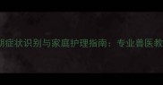 狗狗鼻炎早期症状识别与家庭护理指南专业兽医教你科学应对