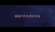 泰迪不吃东西吐白沫