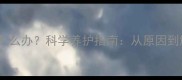 泰迪犬掉毛怎么办科学养护指南从原因到解决全攻略