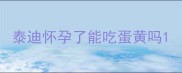 泰迪怀孕了能吃蛋黄吗