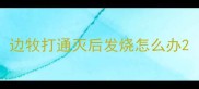 边牧打通灭后发烧怎么办