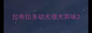 拉布拉多幼犬很大异味