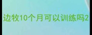 边牧10个月可以训练吗
