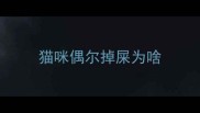 猫咪偶尔掉屎为啥
